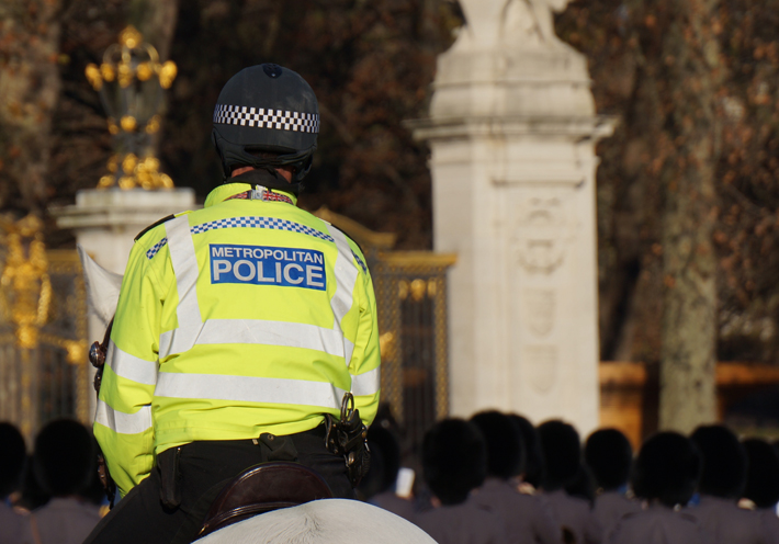 Police horse on patrol 